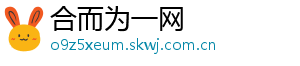 合而为一网